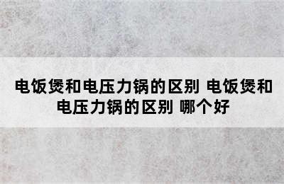 电饭煲和电压力锅的区别 电饭煲和电压力锅的区别 哪个好